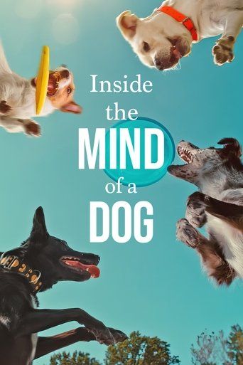 Inside the Mind of a Dog (2024) Hindi Dubbed Movie download full movie